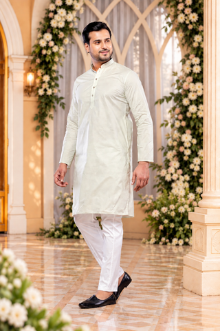 Premium Light Pista Cotton Plain Kurta  (Only Kurta)